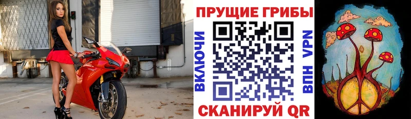 Галлюциногенные грибы Psilocybe гидра tor Алупка